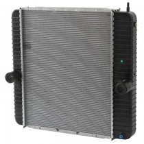 International 3000-4600 Ford F650 F700 Radiator Front View. 