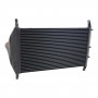 Freightliner Sterling Business Class Y Model Charge Air Cooler Back.