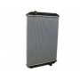 Freightliner 1993-2004 Radiator Angled View. 