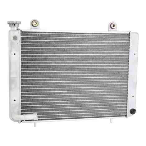 Polaris Ranger OEM ATV Radiator Front.
