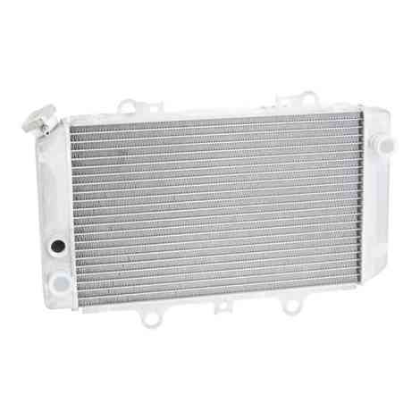 Yamaha Grizzly Sensor Port ATV Radiator Front.